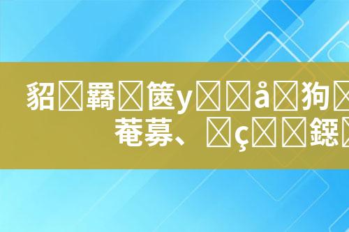 ${自定义变量_标题}